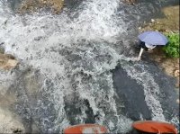 氨氮濃度超地表水Ⅲ類標(biāo)準(zhǔn)15.3倍，廣東茂名被公開通報(bào)！